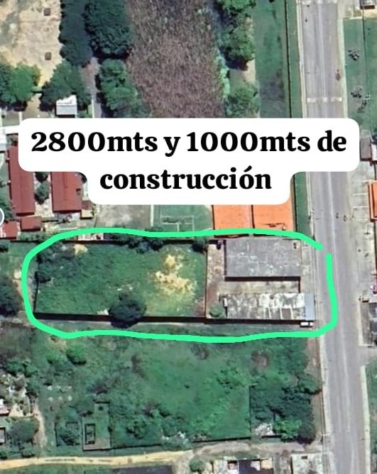 Tucacas Coleo